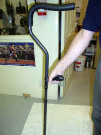 millennial - tony 1.JPG (606903 bytes)